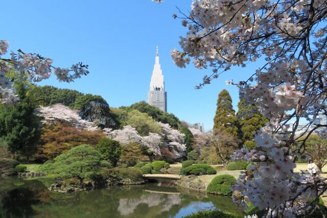 新宿御苑を英語で説明 皇室ゆかりの歴史ある公園を９つの例文で説明 英語で夢をかなえる
