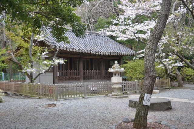 鎌倉大仏を祀る高徳院の観月堂について英語で説明