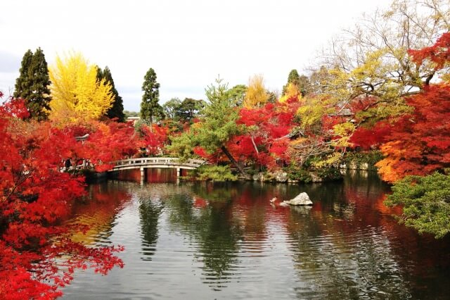 日本の観光地を英語で紹介 東京や京都などの観光地を英語で説明 英語で夢をかなえる