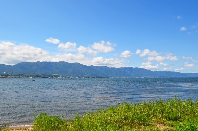 琵琶湖に住む生物を英語で説明