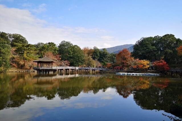 奈良を英語で説明｜観光地として有名な古都を５つの例文で紹介