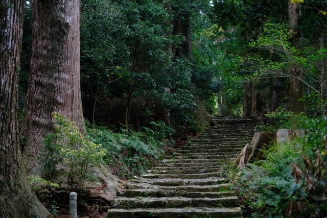 熊野古道を英語で説明｜熊野三山を参拝しに行く世界遺産の道を紹介